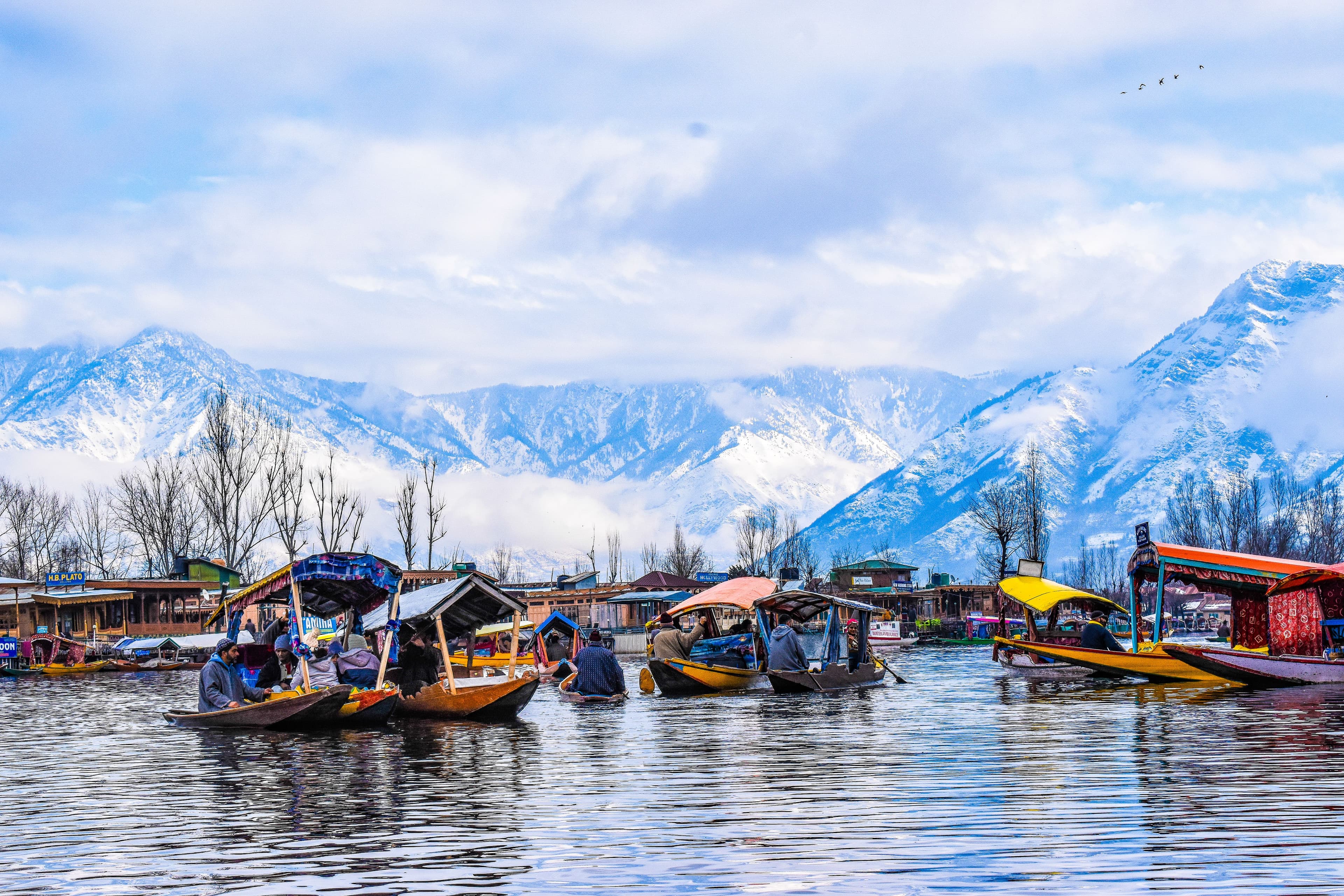 Kashmir